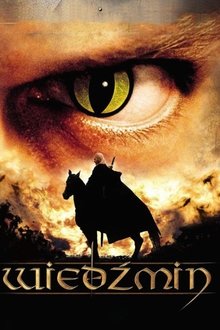 The Witcher tv show poster