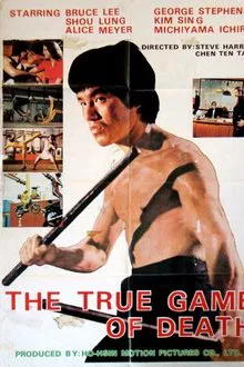 The True Game of Death movie poster