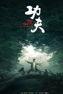 True Kung-Fu: A Path to Mastery tv show poster