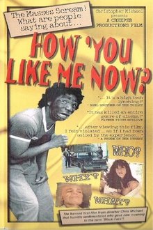 How 'You Like Me Now? movie poster