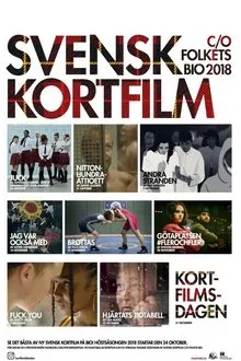 Götaplatsen #flerochfler movie poster
