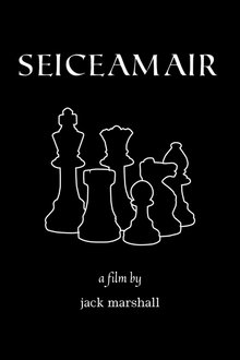 Seiceamair movie poster