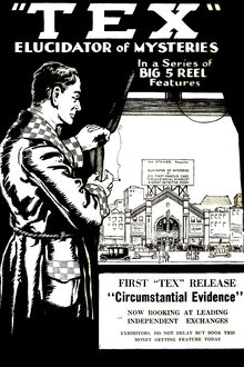 Detective Tex: Circumstantial Evidence movie poster