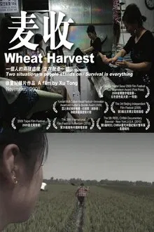 Wheat Harvest movie poster