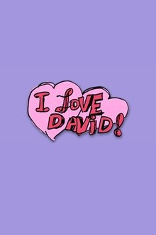 I Love David! tv show poster