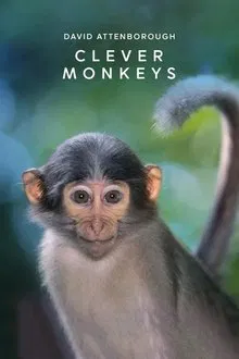 Clever Monkeys movie poster