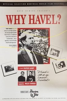 Why Havel? movie poster