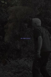 In The Pale movie poster