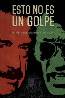 This Is Not a Coup movie poster