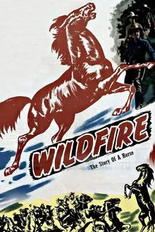 Wildfire movie poster