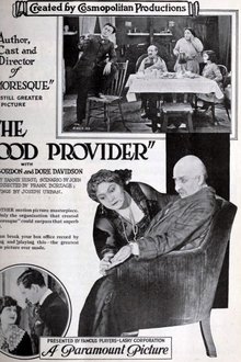 The Good Provider movie poster