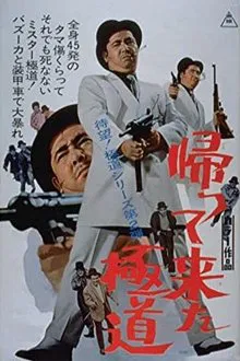 Return of the Outlaw movie poster
