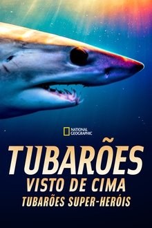 Poster do filme Tubarões Visto de Cima: Tubarões Super-heróis
