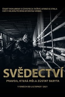Svědectví: Pravda, která měla zůstat skryta movie poster