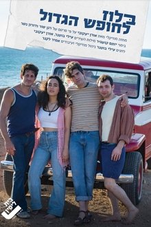 בלוז לחופש הגדול המחזמר movie poster