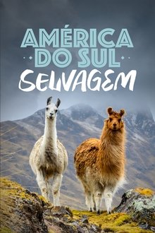 Poster do filme América do Sul Selvagem