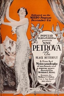 The Black Butterfly movie poster
