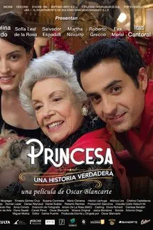 Princess, A True Story movie poster