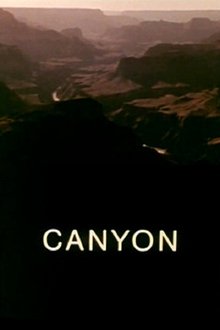 Canyon movie poster