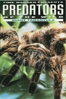 Predators of the Wild: Giant Tarantula movie poster