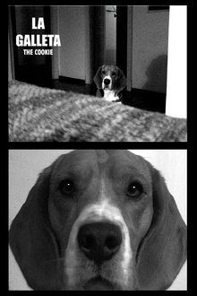 The Cookie movie poster