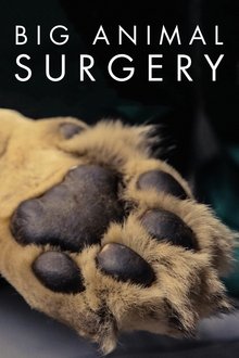 Big Animal Surgery tv show poster