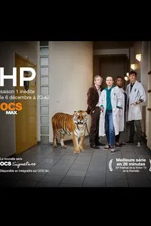 HP tv show poster