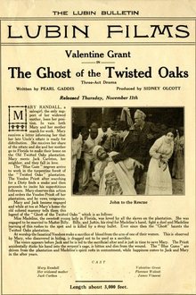 The Ghost of Twisted Oaks movie poster