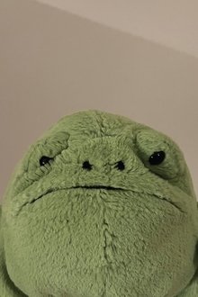 Pascal profile picture