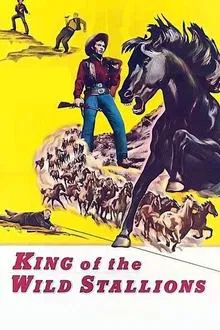 King of the Wild Stallions movie poster