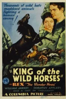 King of the Wild Horses movie poster