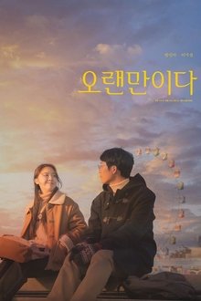 How Have You Been movie poster