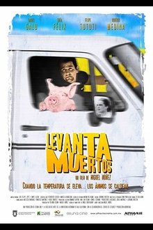 Death Strokes movie poster