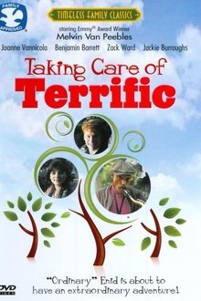 Taking Care of Terrific movie poster