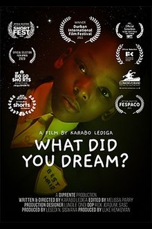 What Did You Dream? movie poster