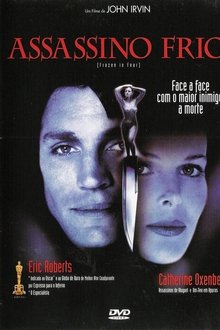 Poster do filme Assassino Frio