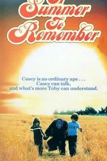 A Summer to Remember movie poster
