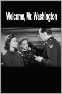 Welcome, Mr Washington movie poster