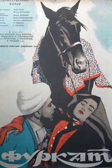 Furqat movie poster