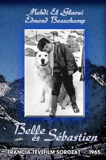 Belle et Sébastien tv show poster