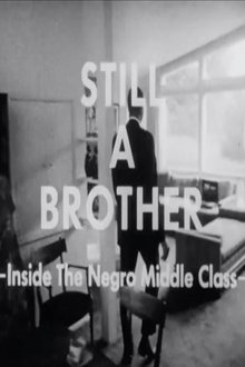 Still A Brother: Inside the Negro Middle Class movie poster