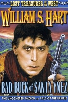Bad Buck of Santa Ynez movie poster