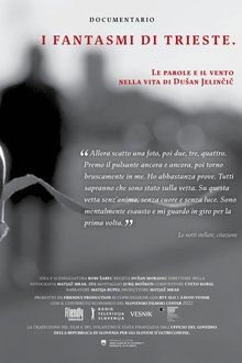The Apparitions of Trieste, Words and Wind in the Life of Dušan Jelinčič movie poster