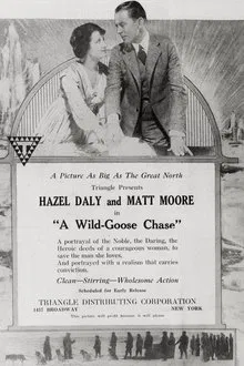 A Wild Goose Chase movie poster