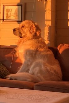 Foto de perfil de Caspian