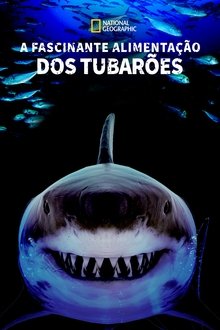 Poster do filme A Fascinante Alimentação dos Tubarões