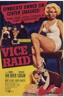 Vice Raid movie poster