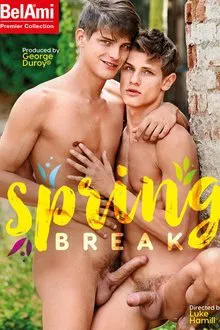 Spring Break movie poster