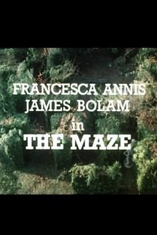 Poster do filme The Maze