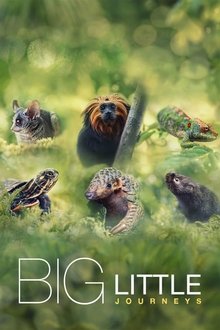 Big Little Journeys tv show poster